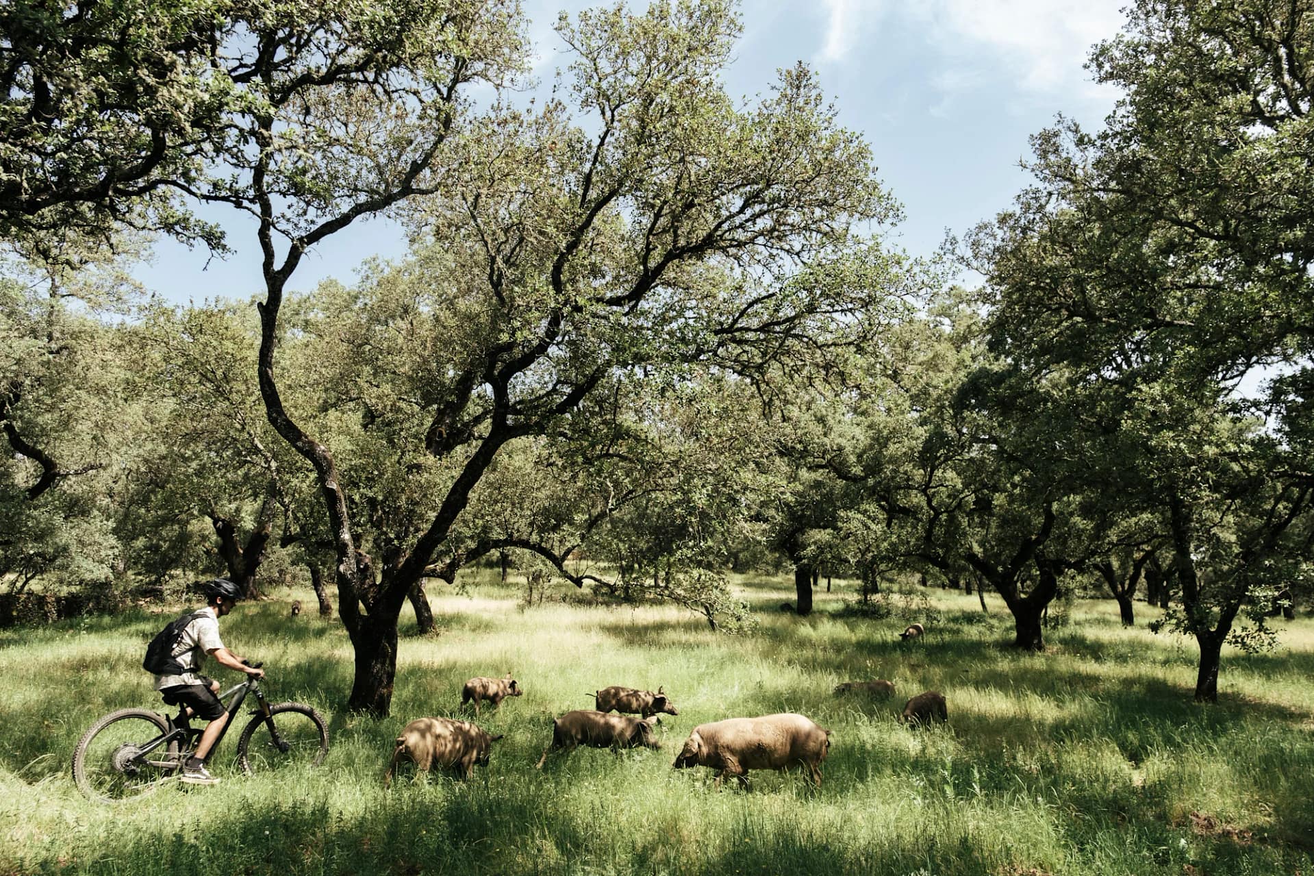 TomásMontes_ Finca_el_Moro-139
